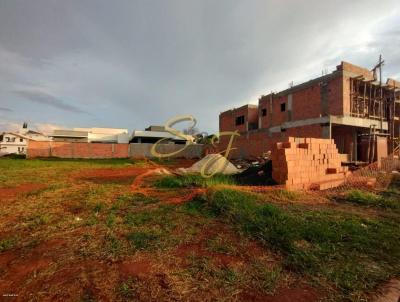 Terreno para Venda, em Paul�nia, bairro Parque Brasil 500