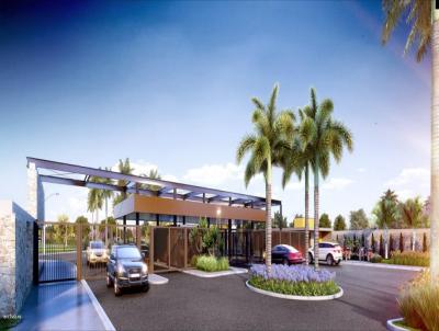 Terreno para Venda, em Paul�nia, bairro Boa Esperan�a