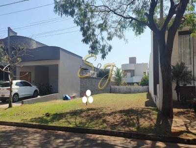 Terreno para Venda, em Paul�nia, bairro Parque Brasil 500