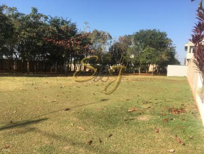 Terreno para Venda, em Paul�nia, bairro Betel