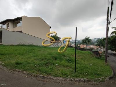 Terreno para Venda, em Paul�nia, bairro Jardim Yp�