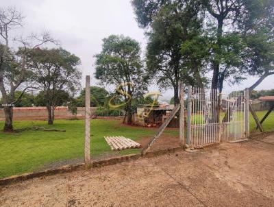 Terreno para Venda, em Paul�nia, bairro Patropi