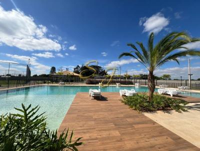 Terreno para Venda, em Paul�nia, bairro Betel