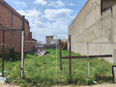 Terreno para Venda, em Sumar�, bairro Jardim dos Ip�s